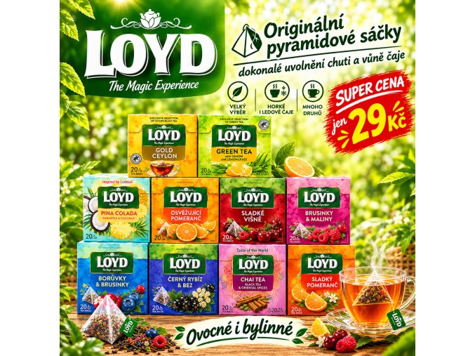 01 banner ai loyd pyramidove caje