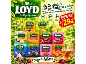 01 banner ai loyd pyramidove caje