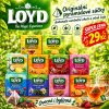 01 banner ai loyd pyramidove caje